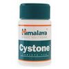 contact-recustomer-Cystone contact-recustomer-Cystone